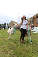 ANZ Züchterin Jenny Scharf bei der Vorführung